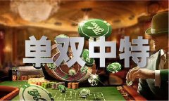 正牌宝典图库V6